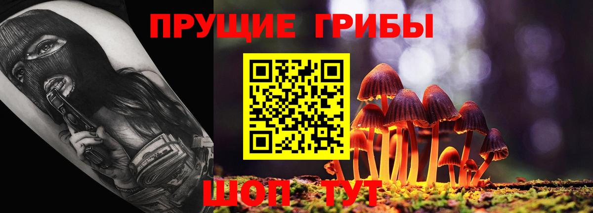 Галлюциногенные грибы Magic Shrooms  Псилоцибиновые грибы мицелий  Йошкар-Ола  Вход с VPN 